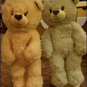 Build-A-Bear bears with accessories